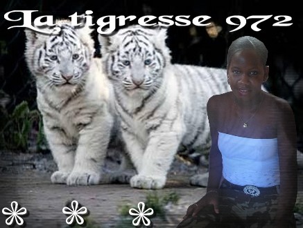 tigresse aka kasia 